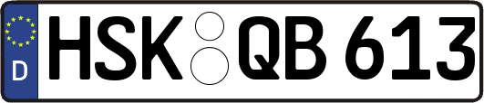 HSK-QB613