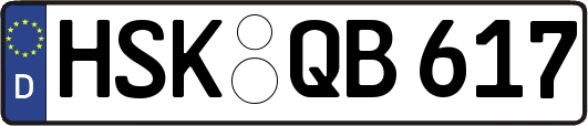 HSK-QB617