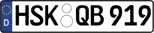 HSK-QB919