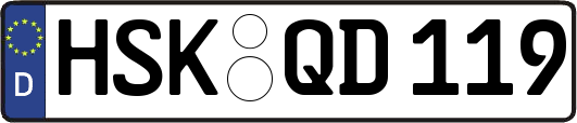 HSK-QD119