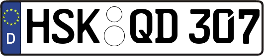 HSK-QD307