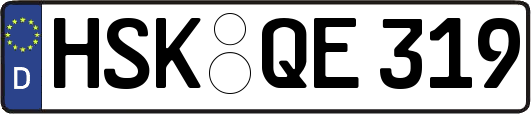 HSK-QE319