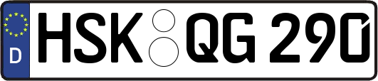 HSK-QG290