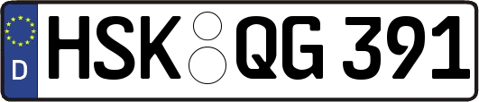 HSK-QG391