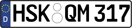 HSK-QM317