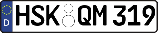 HSK-QM319