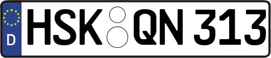 HSK-QN313