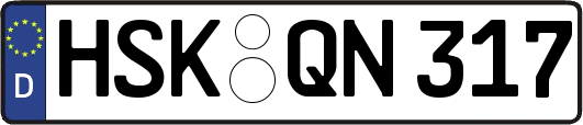 HSK-QN317
