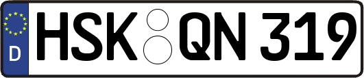 HSK-QN319