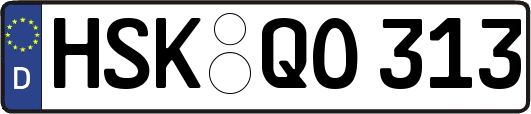 HSK-QO313
