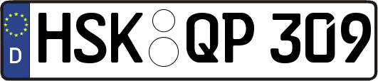 HSK-QP309