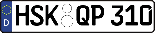 HSK-QP310