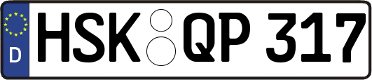HSK-QP317