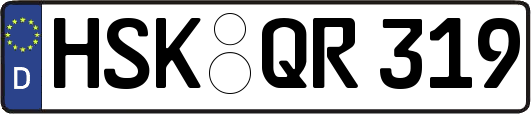 HSK-QR319