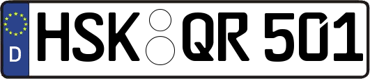 HSK-QR501