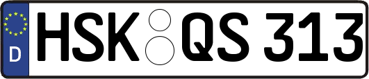 HSK-QS313