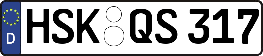 HSK-QS317
