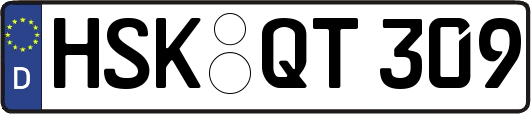 HSK-QT309