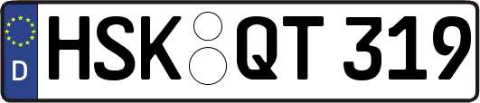 HSK-QT319