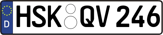HSK-QV246
