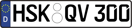 HSK-QV300