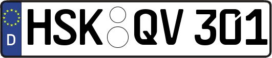 HSK-QV301