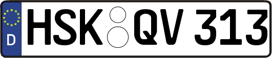 HSK-QV313