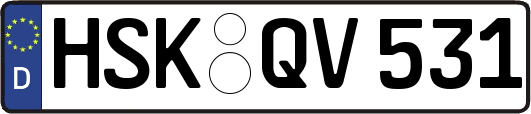 HSK-QV531
