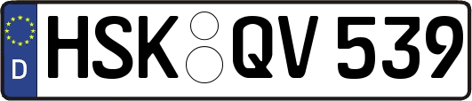HSK-QV539