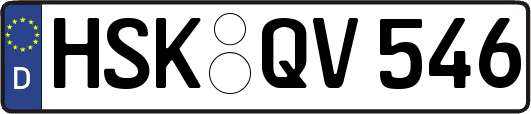 HSK-QV546