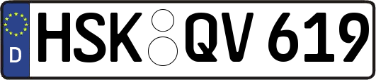 HSK-QV619