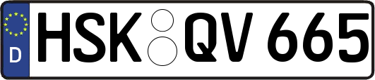 HSK-QV665
