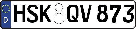 HSK-QV873