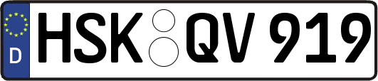 HSK-QV919