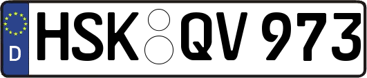 HSK-QV973