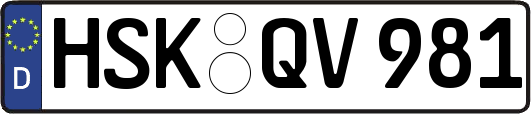 HSK-QV981