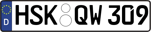HSK-QW309