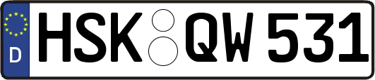 HSK-QW531