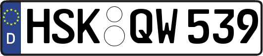 HSK-QW539