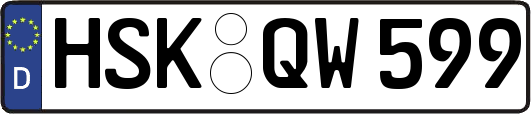 HSK-QW599