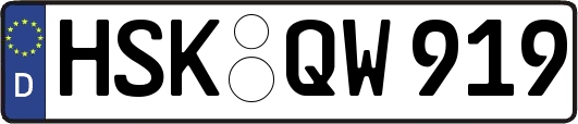 HSK-QW919