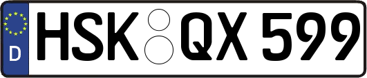 HSK-QX599