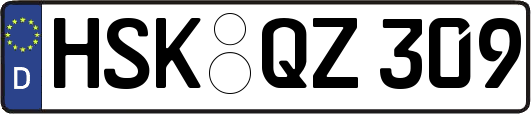 HSK-QZ309