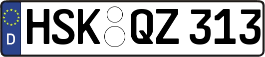 HSK-QZ313
