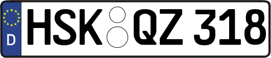 HSK-QZ318