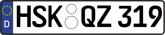 HSK-QZ319