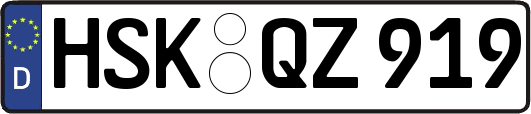 HSK-QZ919