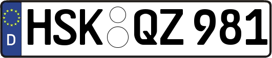HSK-QZ981