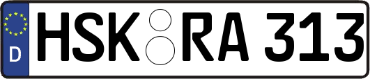 HSK-RA313