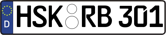 HSK-RB301